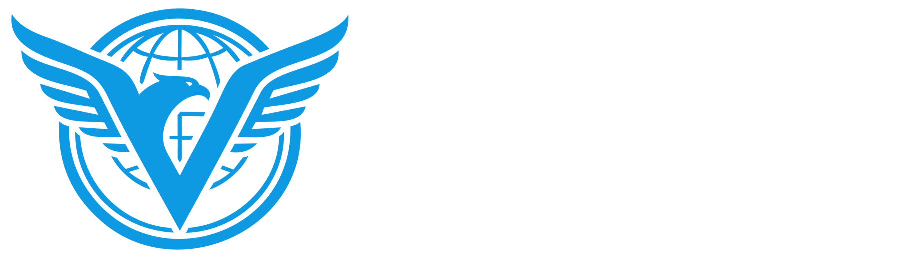 Vayro International