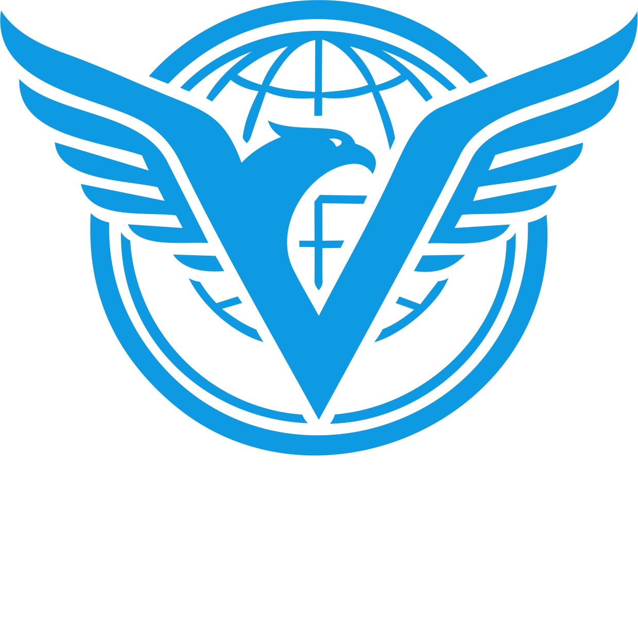 Vayro International